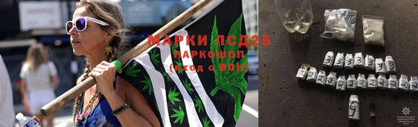 молекула духа Алзамай