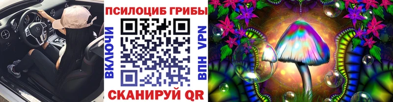 Псилоцибиновые грибы Psilocybe Новое Девяткино
