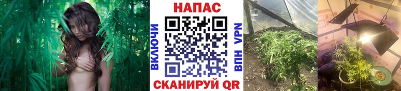 МАРИХУАНА Amnesia mega сайт Новое Девяткино